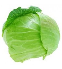 CABBAGE GREEN 1 NO 500/600 gms